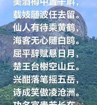 极目楚天舒是什么意思 诗词爱好者必知的典故