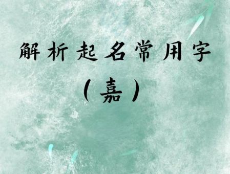 掉书袋什么意思这个俗语的正确用法解析
