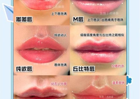花瓣唇和仰月唇区别详解 教你快速识别不同唇形