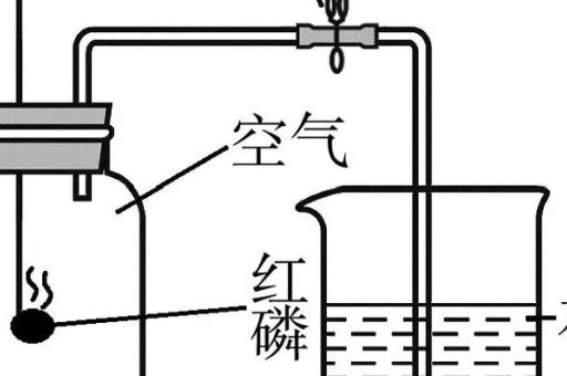 红磷在氧气中燃烧与白磷有何不同
