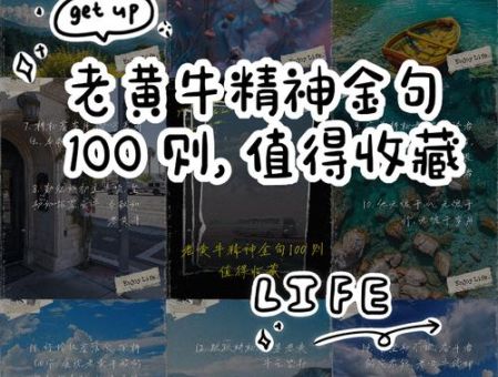 老黄牛的意思揭秘它代表什么精神
