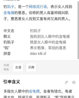 钓凯子是什么意思揭秘网络流行语背后的含义