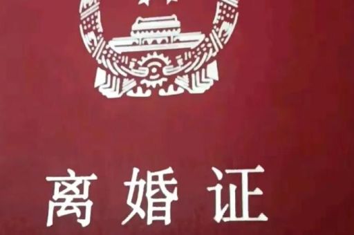 净身出户是什么意思离婚能一分钱不要吗