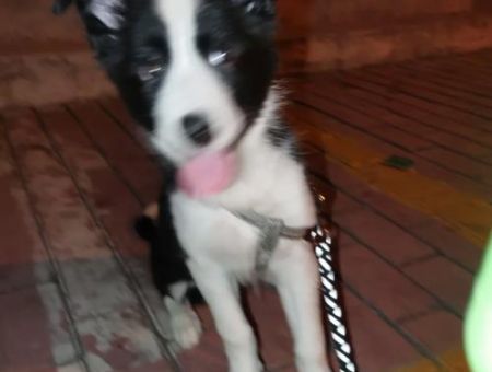 隔路是什么意思 隔路和不合群有什么区别