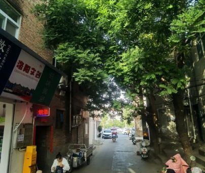 隔路是什么意思 隔路和不合群有什么区别