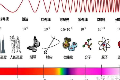 电波系是什么意思原来是指这类人你知道吗