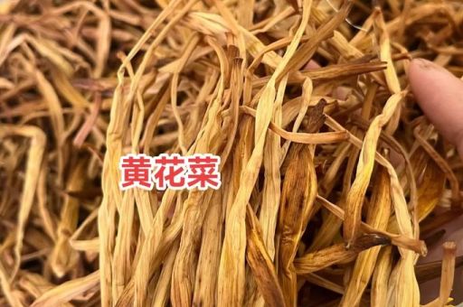黄花菜为什么叫忘忧草中医告诉你真正原因