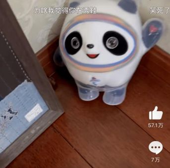 冰墩墩是什么揭秘这只熊猫的来历和故事