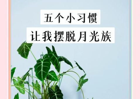 什么是月光族 月光族如何摆脱月光困境
