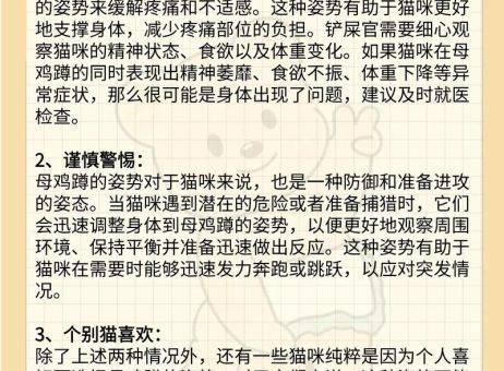 家里蹲是什么意思如何判断自己是不是家里蹲