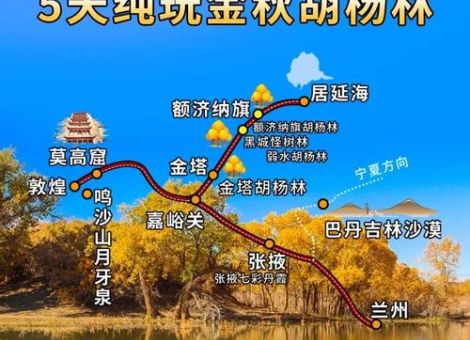 额济纳自助游攻略 教你玩转大漠胡杨林