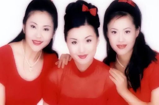 黑鸭子组合成员资料大全 他们的成名曲有哪些