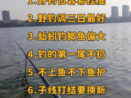 蜀门钓鱼攻略小技巧轻松掌握高效钓鱼秘诀