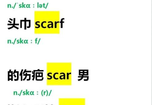 scarlett蕙珈粉丝必看 你不知道的十个冷知识
