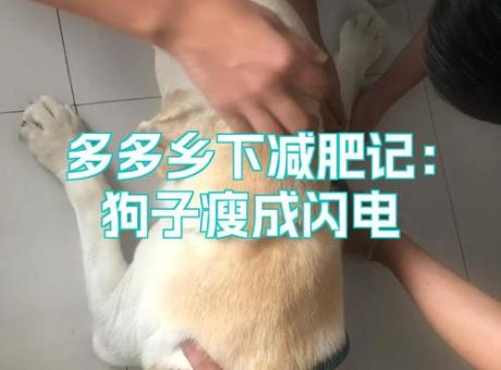 闪电定点瘦安全吗?专家解答你的所有疑问