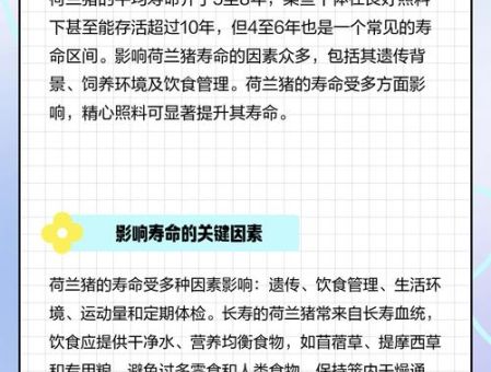 黑豚鼠寿命有多长如何延长它的寿命