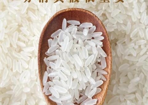 注水大米怎么分辨专家教你识别掺假大米技巧