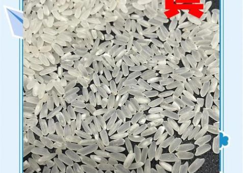注水大米怎么分辨专家教你识别掺假大米技巧