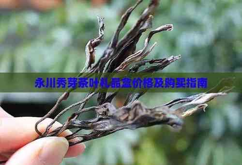 武魂蝶花在哪里买正品购买渠道与价格指南