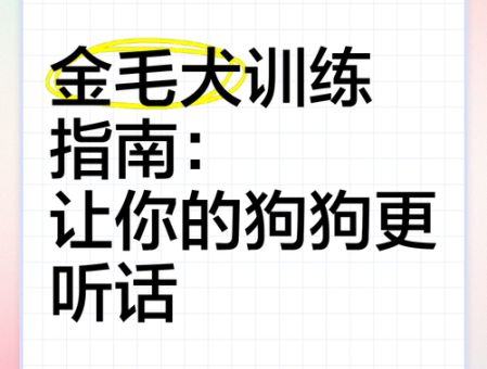 金毛犬训练必备口令 让狗狗快速学会指令