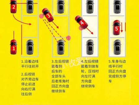 图种怎么打开 新手必看的详细操作指南
