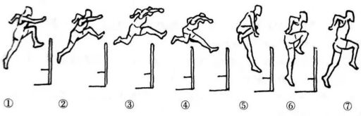 七步上栏技巧大揭秘轻松学会跨栏基本功