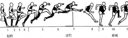 七步上栏技巧大揭秘轻松学会跨栏基本功