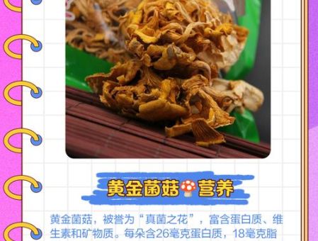 黄金菌美怎么吃才能发挥最大营养价值