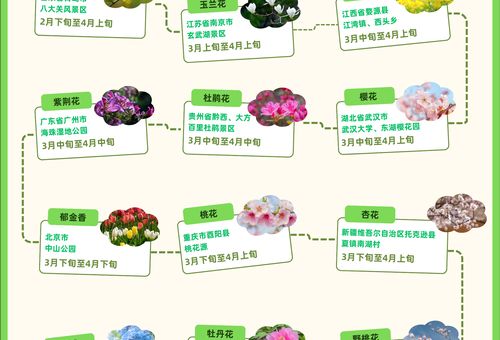 洛克王国植物园采花技巧 如何高效收集更多花朵