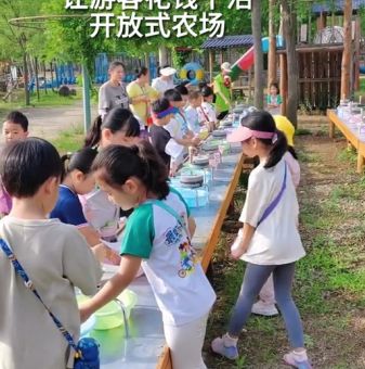 qq农场在哪里打开 手机电脑登录方法全解析