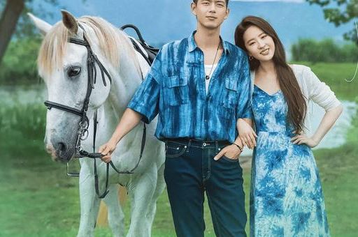 幸福小镇1剧情介绍带你走进温馨治愈的田园生活