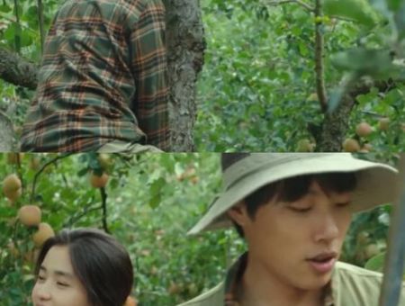 幸福小镇1剧情介绍带你走进温馨治愈的田园生活