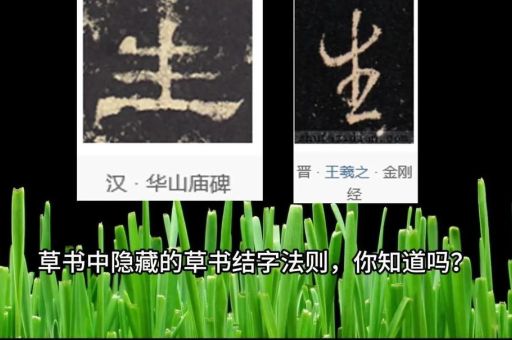 房顶上盖草打一字怎么解？轻松掌握汉字小技巧！