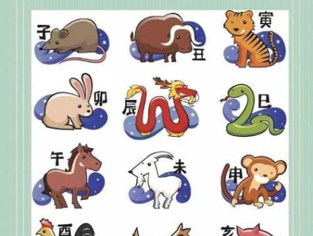 快速解谜：策马飞舆是打一生肖的正确答案！