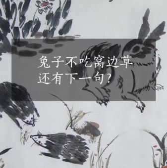 猜一猜：兔子不吃窝边草打一成语，你能猜对吗？