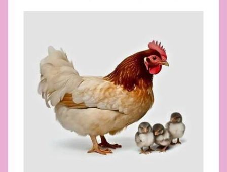 小白加小白打一动物的谜底，超有趣的动物冷知识！