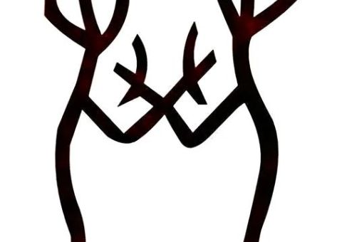 枯泉打一字!一起来猜猜这个字的奥秘!