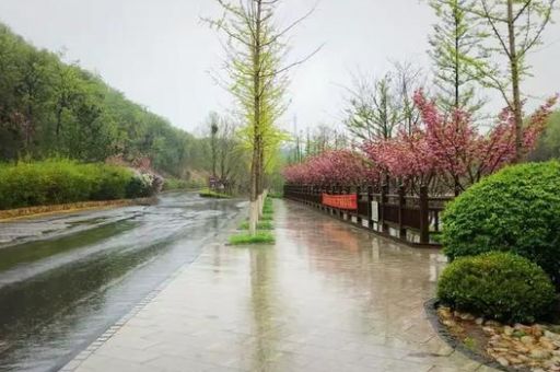 雨落在横山上打一个字？答案原来是这个！