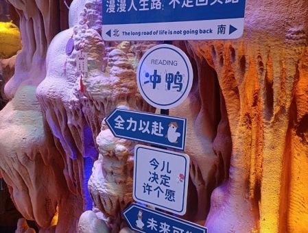 “驼背公公力大无穷爱托车水马龙”谜底,揭晓这建筑物!