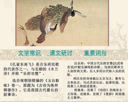 展翅高飞的意思到底是什么?深入解读带你了解!