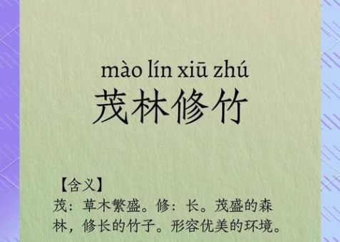 深入解读茂林修竹的意思，感受古人的情怀！