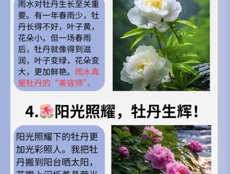 国色天香的意思到底是什么?原来和花有关!