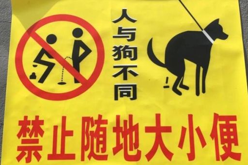 随时随地的意思:不同场景下有哪些表达?