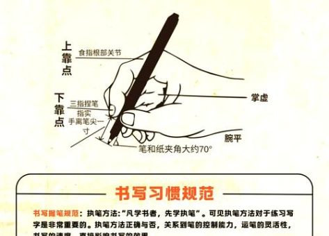 学写士的笔顺图解,一步步跟着学不费力!