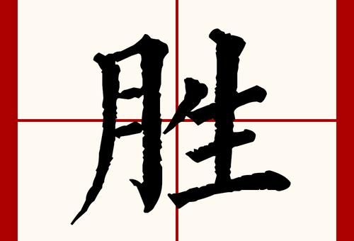 胜的笔顺正确写法,提高汉字书写速度。