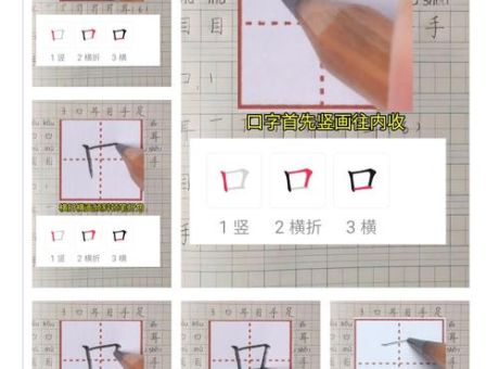 孩子学写界字,正确笔顺这样教最有效!