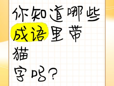 阿猫阿狗是成语吗?别再用错了,正确用法在这里!