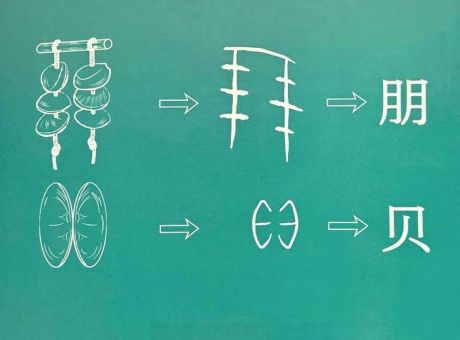朋的笔顺学起来:一步步教你规范书写。
