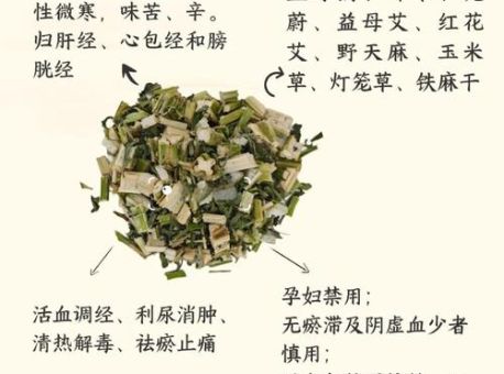 妇女节前夕打一中草药,这个谜语你知道吗?