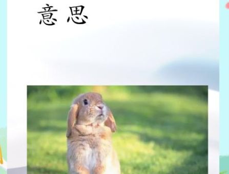 想知道兔起凫举的意思?看这里就能明白!